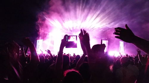 Group of people at music concert