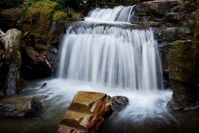 Scenic view of waterfall in forest