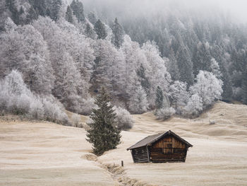 House amidst trees and plants in forest