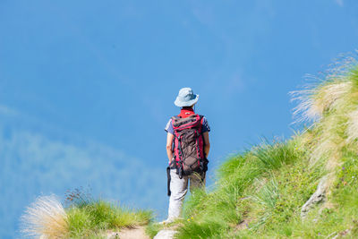 Rear view of hiker with backpack on mountain