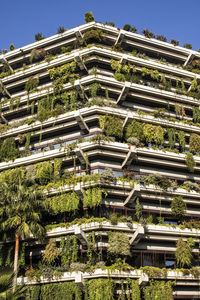 Low angle view of trees and building against sky