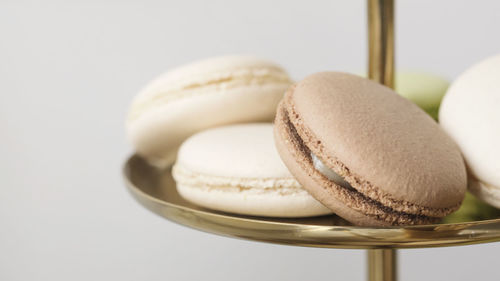 Close-up of cookies against white background