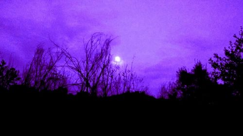 Low angle view of silhouette trees against sky at sunset