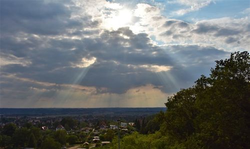 Scenic view of trees against sky