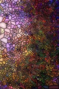 Full frame shot of multi colored tree