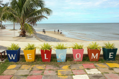 Scenic view of palm trees on beach