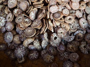 High angle view of betel nut