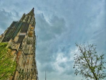 Low angle view of tree and building against sky