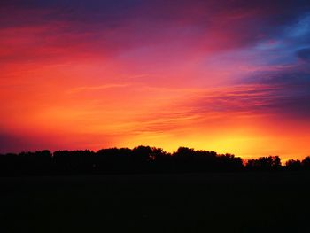 Silhouette trees on field against orange sky