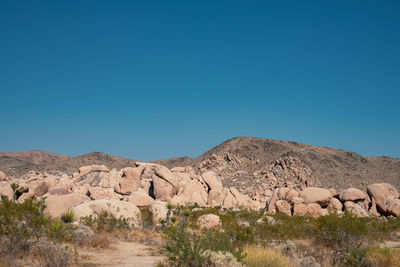 Scenic view of landscape against clear blue sky