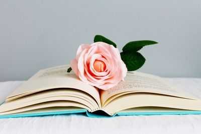 Close-up of flower on table