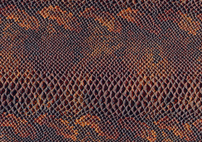 Full frame shot of rusty metal