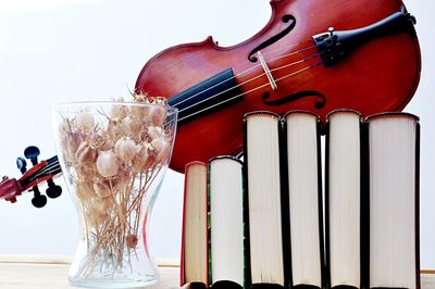 musical instrument