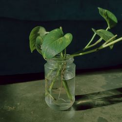 Close-up of drink in jar on table