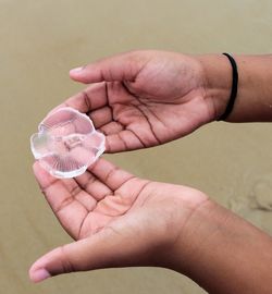 Close-up of cropped hand holding seashell