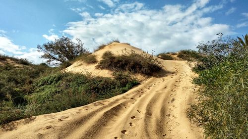 Dirt road amidst land and trees against sky