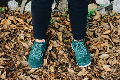 Low section of man standing on autumn leaves