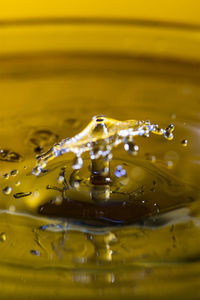 Close-up of water drops on yellow leaf