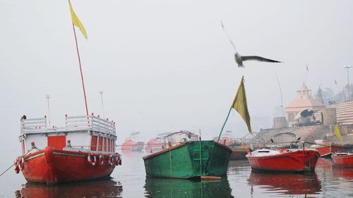 Bird flying over boats moored at harbor in river 