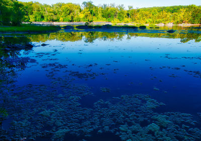 Scenic view of lake