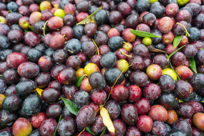 Full frame shot of blackberries