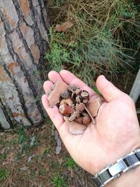High angle view of man holding cigarette