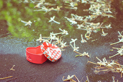 High angle view of red and leaves on table