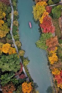 High angle view of autumn trees in water