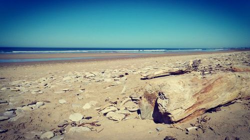 Scenic view of beach against clear sky