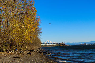Scenic view of sea against clear sky during autumn