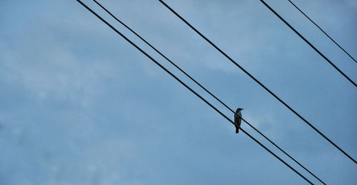 Low angle view of electricity pylon