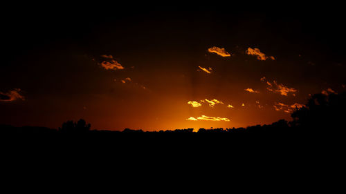 Silhouette trees against sky during sunset