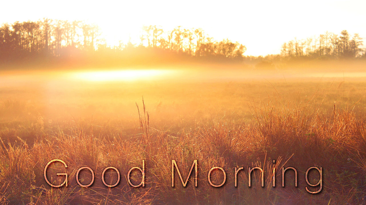 CLOSE-UP OF TEXT ON GRASSY FIELD