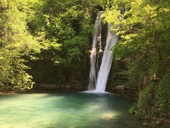 Scenic view of waterfall in forest