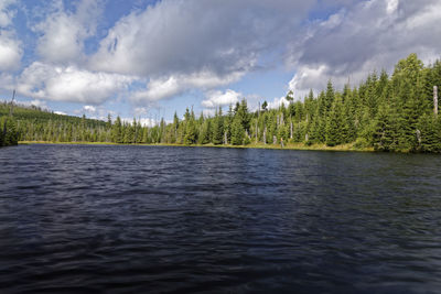 Panoramic view of trees by lake against sky