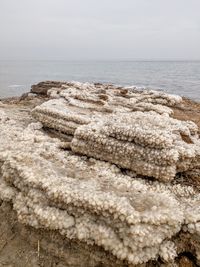 Close-up of sea shore against sky