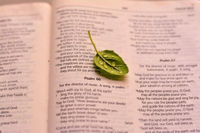 High angle view of text on book