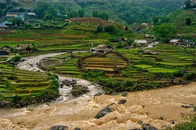 High angle view of agricultural landscape