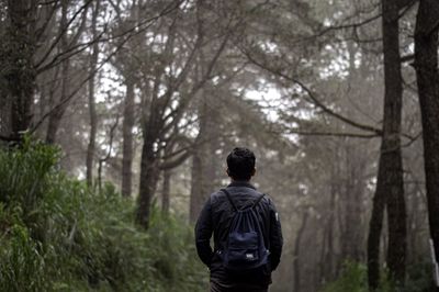 Rear view of man standing in forest