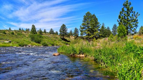 Scenic view of landscape against clear sky