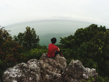 Rear view of man sitting on cliff against landscape