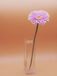 Close-up of purple flower in vase