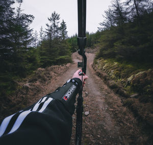 Person moving on dirt road amidst trees in forest