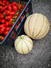 High angle view of tomatoes in container