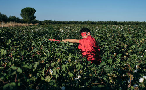 Child disguised as a red superhero enters cotton fields ready to fight