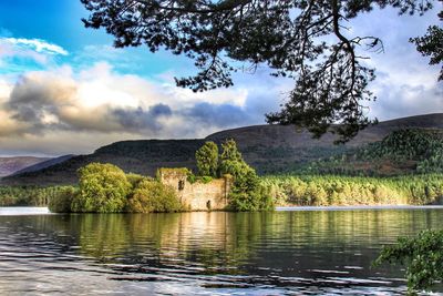 Scenic view of lake by trees against sky