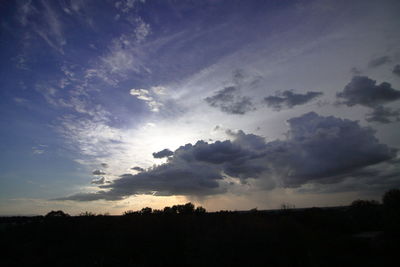 Low angle view of silhouette trees against sky during sunset