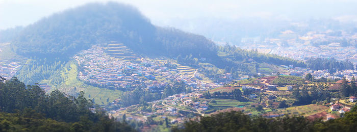 High angle view of trees