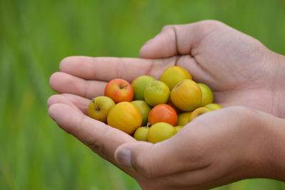 Cropped image of hand holding fruits