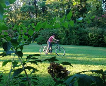 Bicycle on field